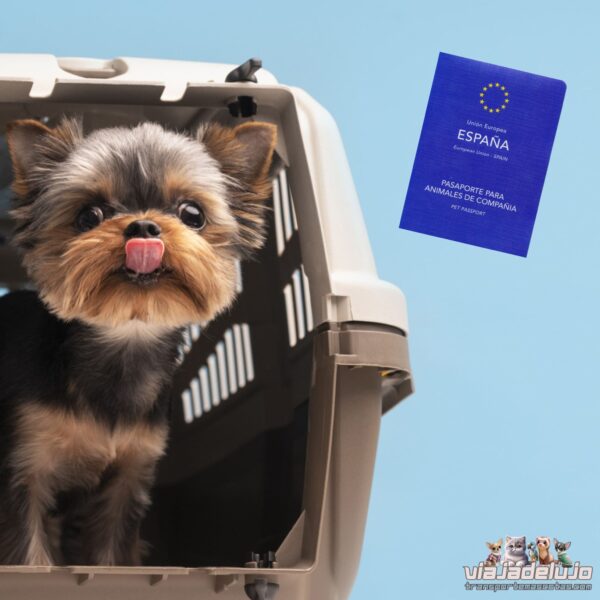 documentacion necesaria viajar mascotas en españa