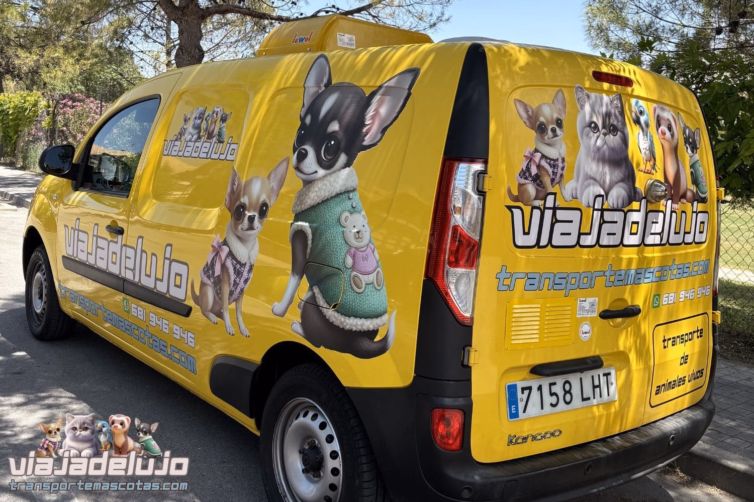servicio de mudanzas de mascotas