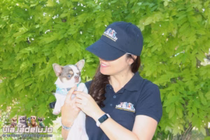 quienes somos equipo de transporte mascotas viaja de lujo