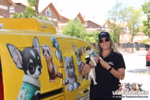 tarifas personalizadas para el transporte de mascotas