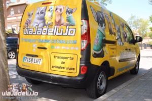 transporte mascotas quienes somos
