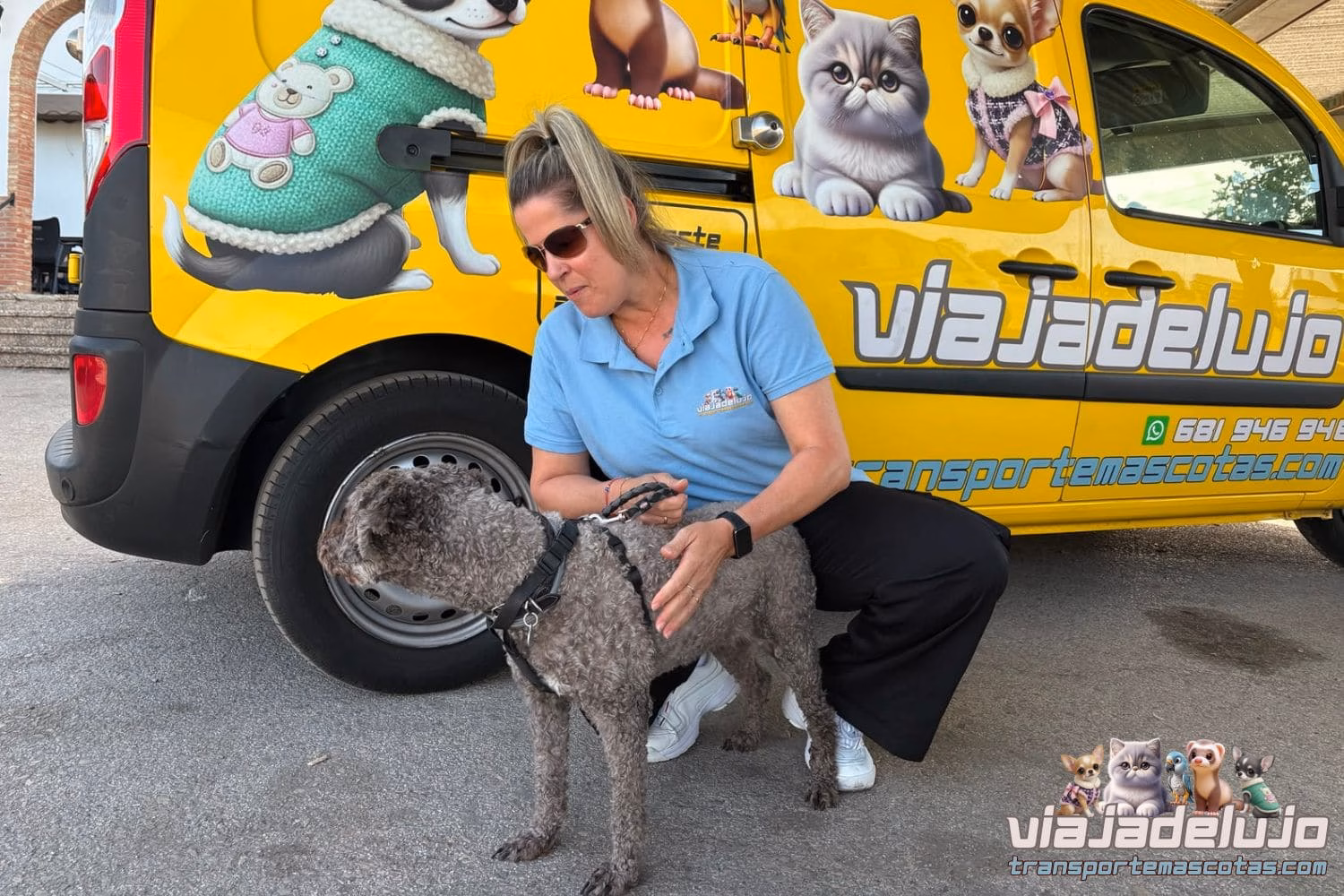 servicio de taxi de mascotas en españa