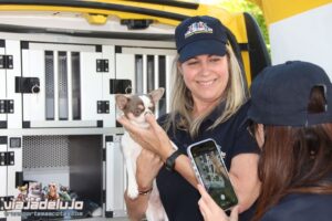 diario de viaje blog de transporte de mascotas