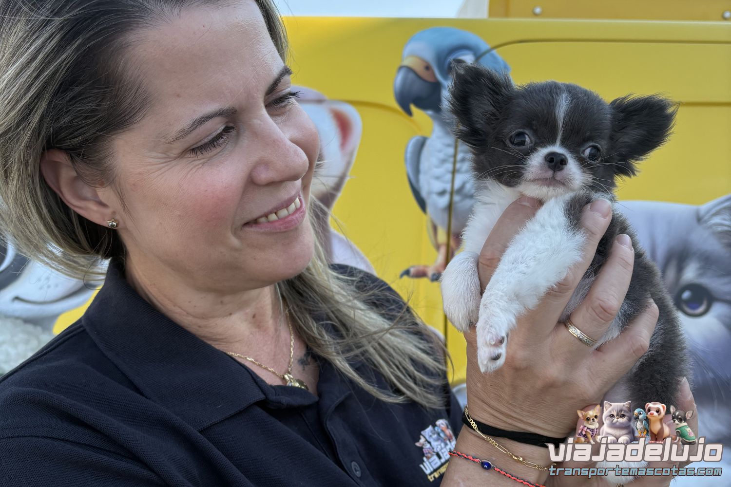 Microchip Mascotas en España - Obligatorio en Transporte 2026 2 edad minima para transportar cachorros en españa
