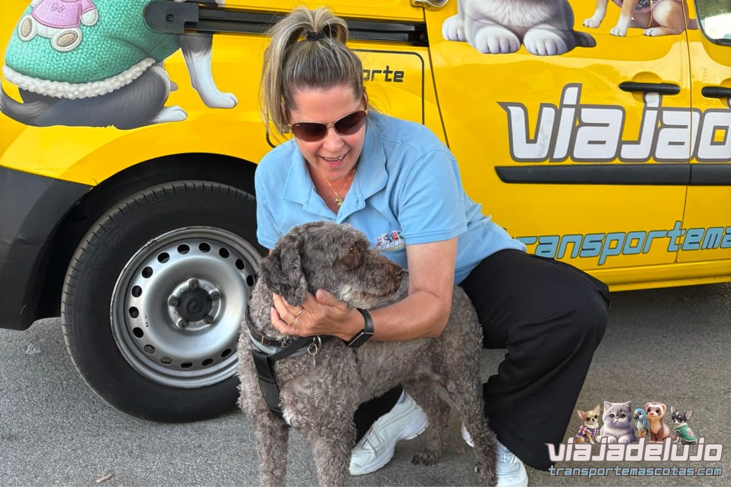 Mora, perro de aguas de 12 años, tras su viaje de Madrid a Rute (Córdoba) con ViajaDeLujo