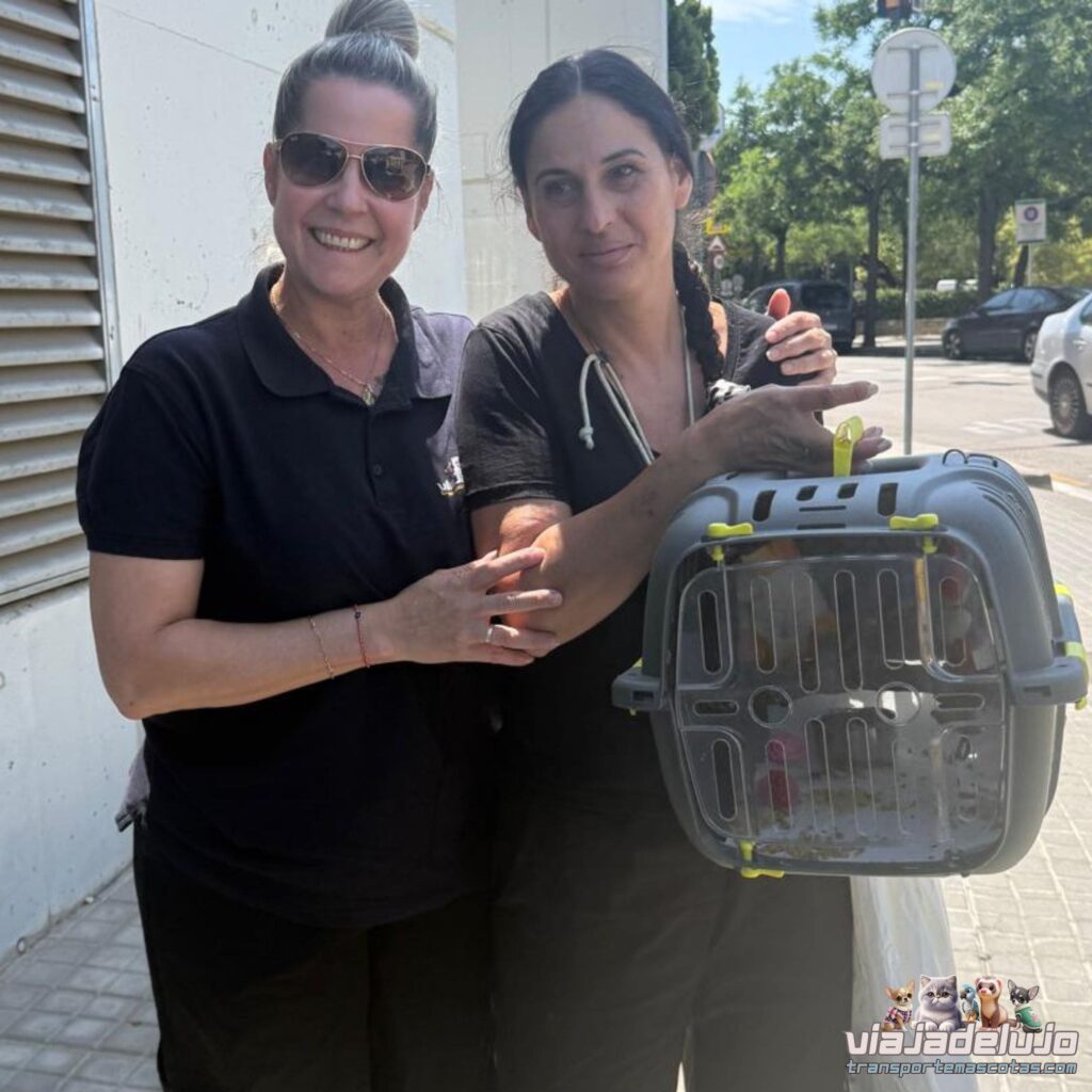 🦜✨Transporte de Mascotas Madrid-Barcelona - Runa, la lorita que regresa a casa 1 transportar aves de madrid a barcelona