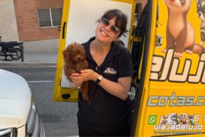 transporte mascotas barcelona aranjuez viajando con goku