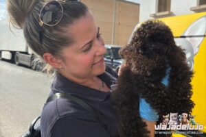 Transporte Mascotas Málaga-Valencia Bosco - Viaja de Lujo 💎 2 transporte mascotas malaga valencia expertos en rutas con perros