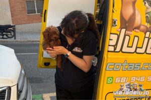 traslado mascotas desde barcelona a aranjuez madrid