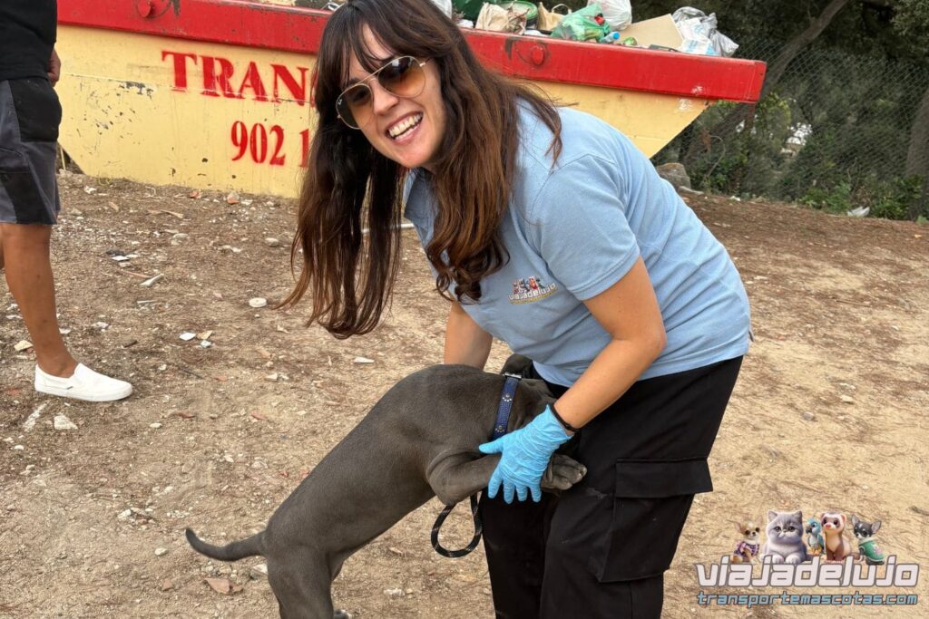 Transporte de Mascotas de Zaragoza a Barcelona: Athena viaja a su nuevo hogar 2 parada reglamentaria en el transporte mascotas zaragoza barcelona athena