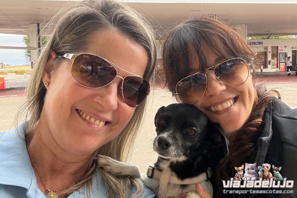 Transporte de Mascotas de Huelva a Pamplona: el viaje de 900 Km que le cambió la vida a Candela 2 trayecto Huelva Pamplona con Candela, parada reglamentaria